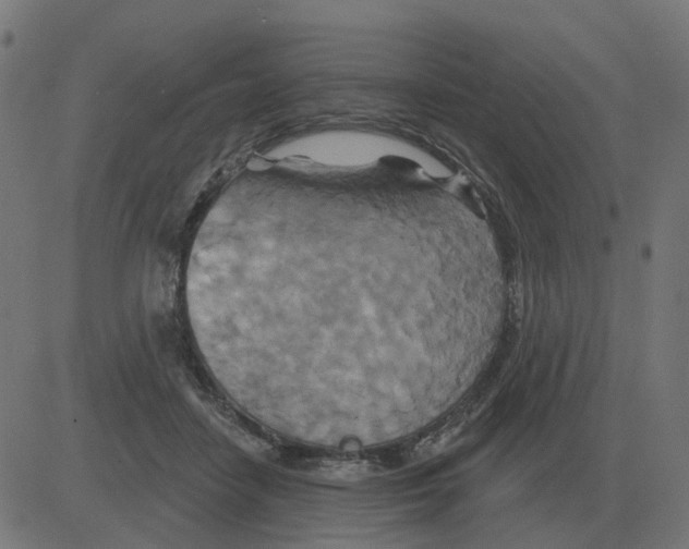 X0000081420458200702092138