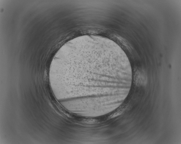 X0000081420459200702092138