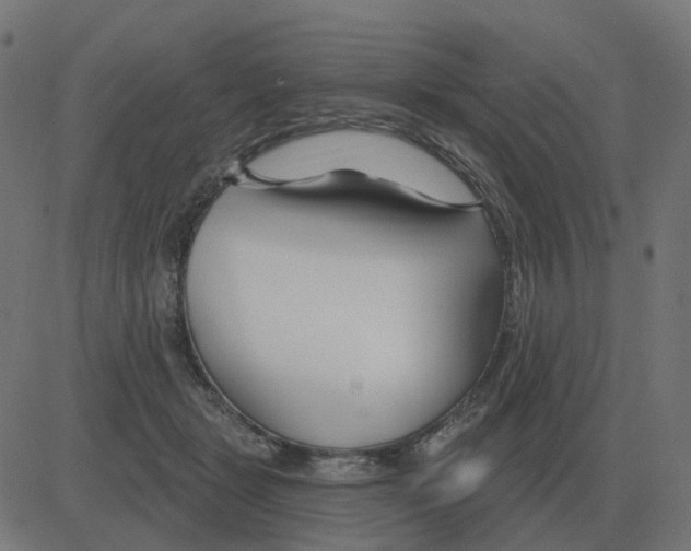 X0000081420461200702092138