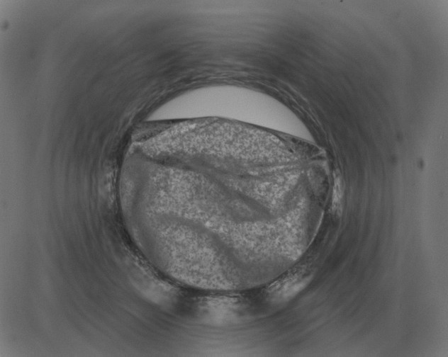 X0000081420462200702092138