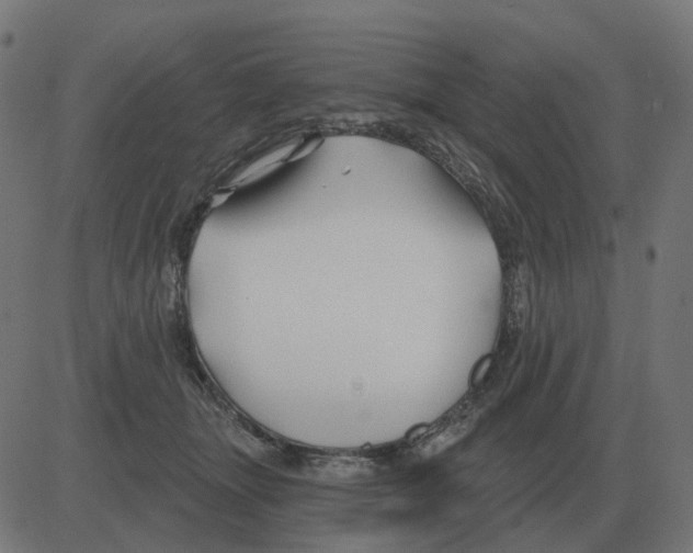 X0000081420463200702092138