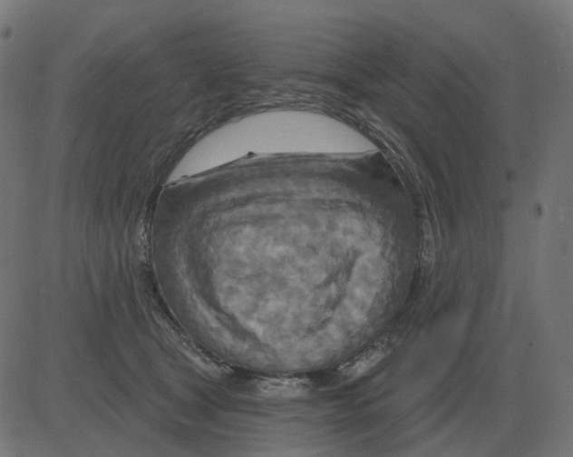 X0000081420465200702092138