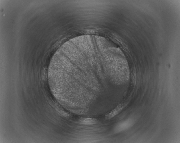 X0000081420467200702092138