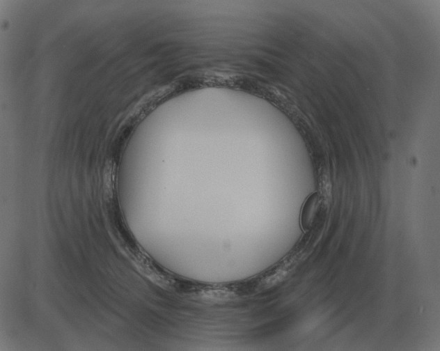 X0000081420468200702092138