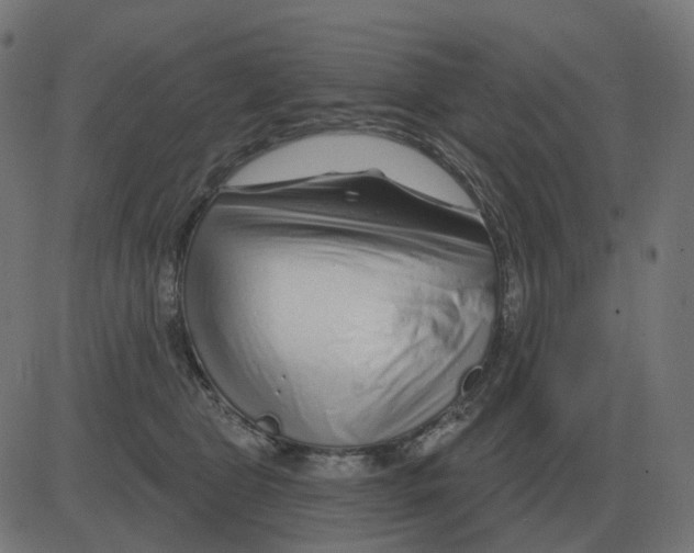 X0000081420469200702092138