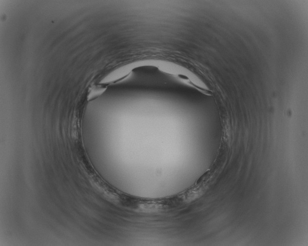 X0000081420470200702092138