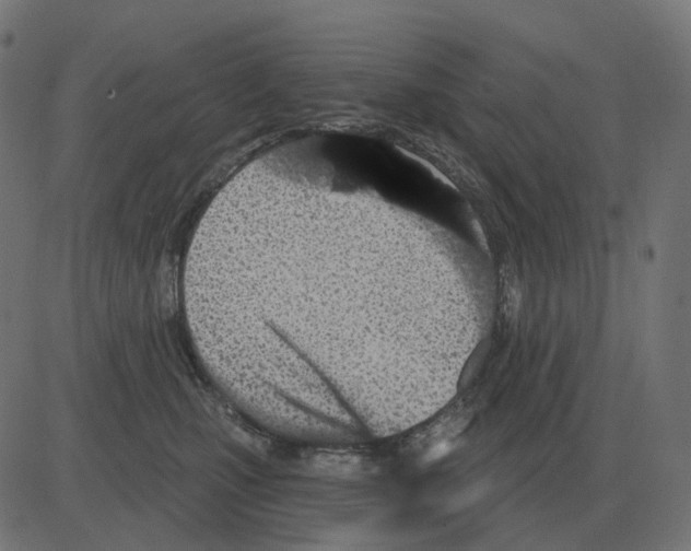 X0000081420471200702092138