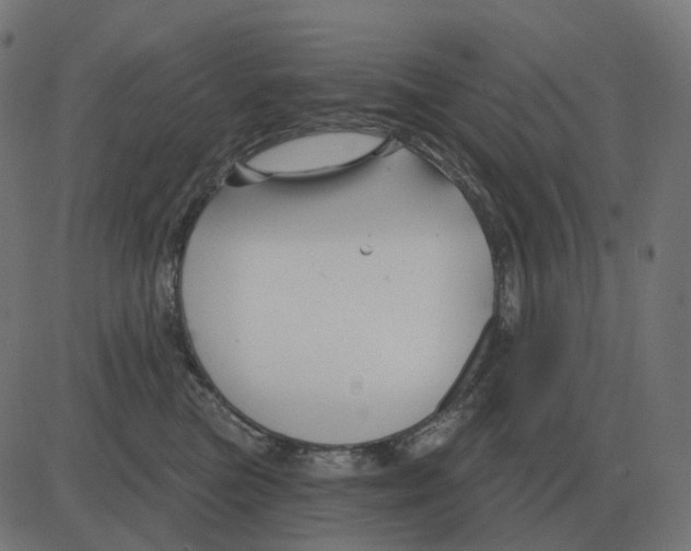 X0000081420473200702092138