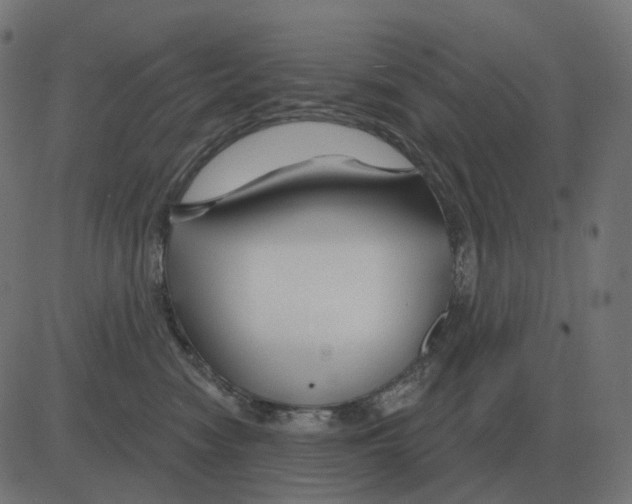 X0000081420474200702092138