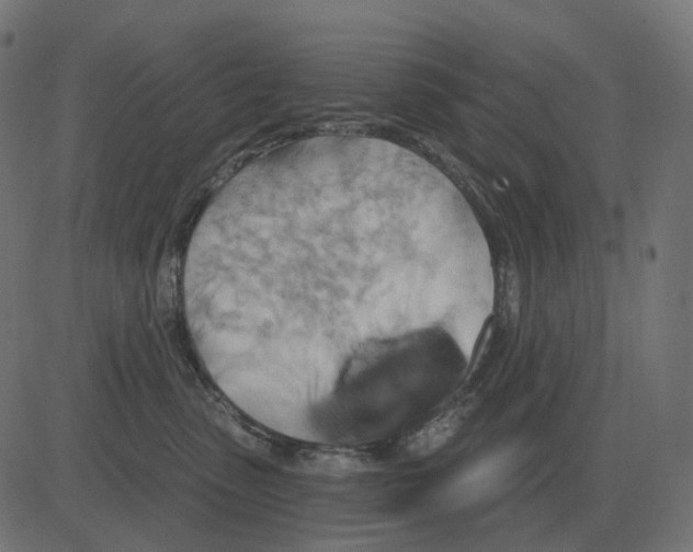 X0000081420475200702092138