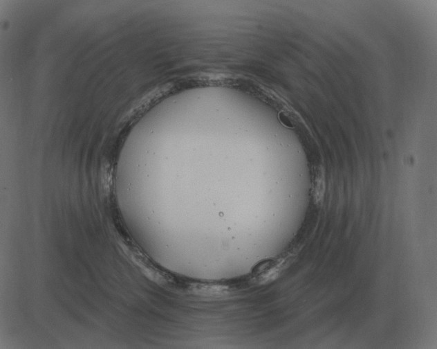 X0000081420476200702092138