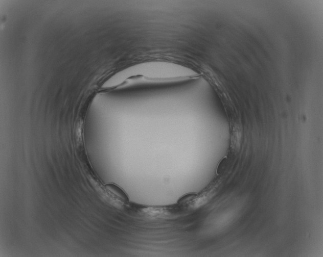 X0000081420477200702092138