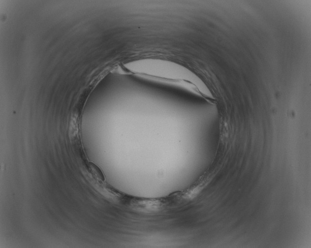 X0000081420478200702092138