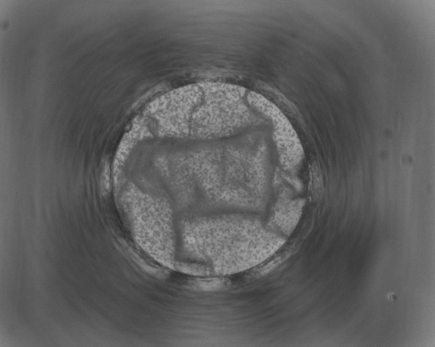 X0000081420479200702092138