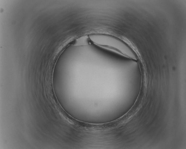 X0000081420481200702092137