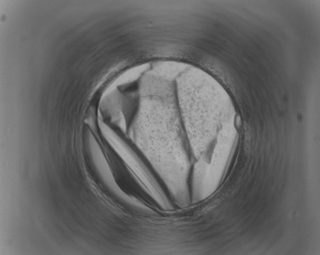 X0000081420482200702092137