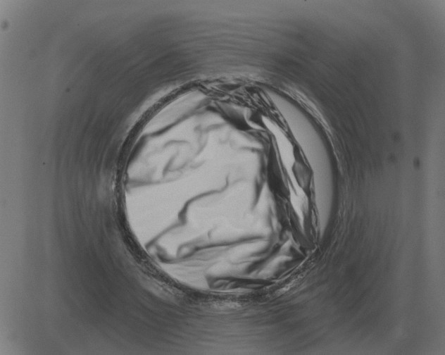 X0000081420483200702092137