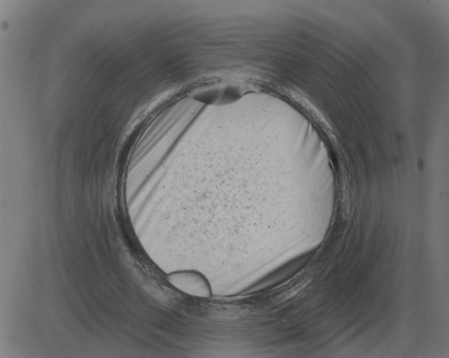 X0000081420486200702092137