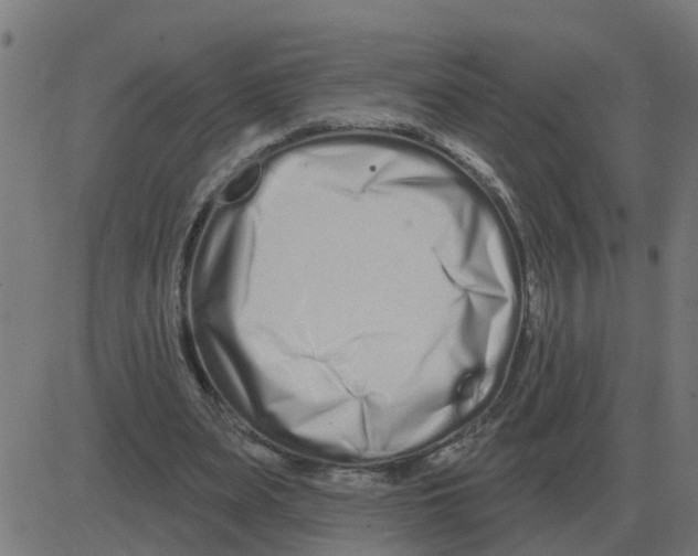 X0000081420487200702092137