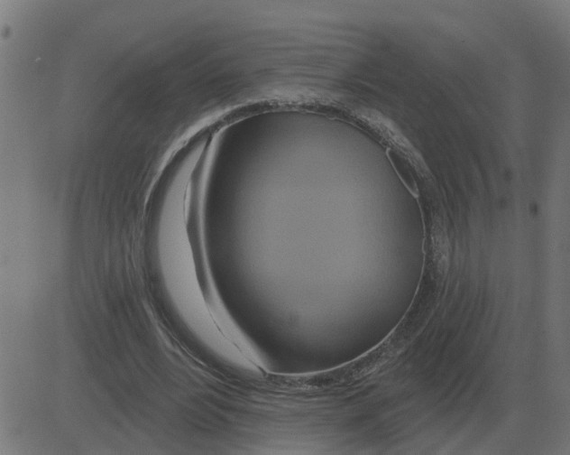 X0000081420488200702092137