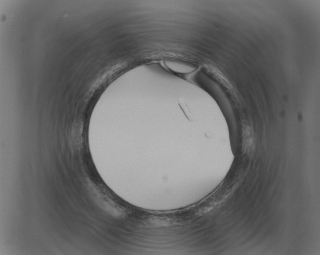 X0000081420490200702092137