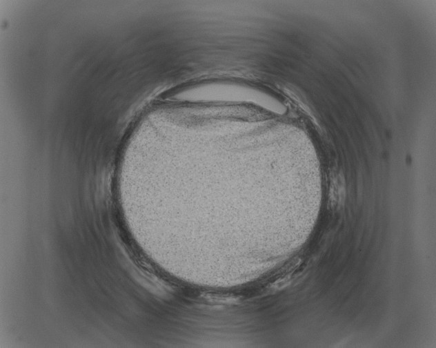 X0000081420491200702092137