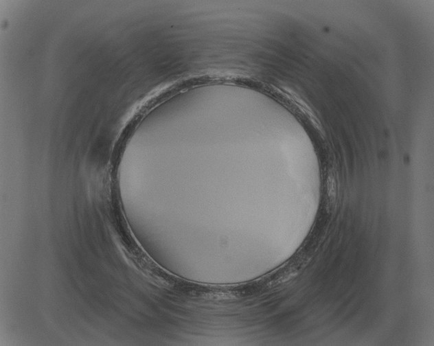 X0000081420492200702092137