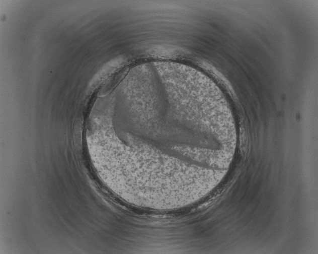 X0000081420493200702092137