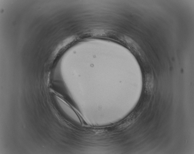 X0000081420495200702092137