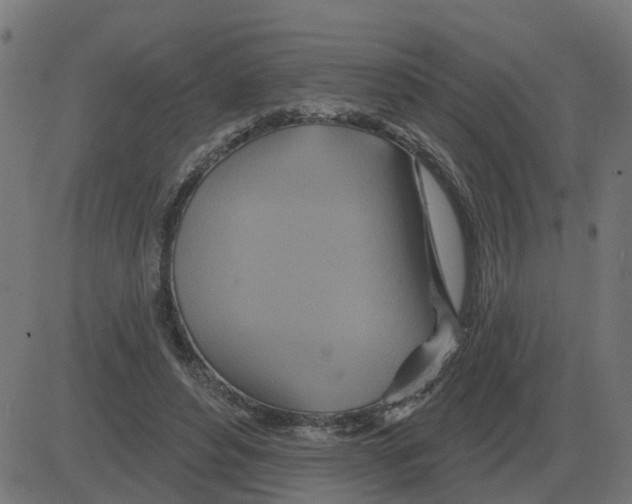 X0000081420496200702092137