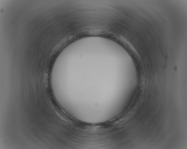 X0000081420497200702092137