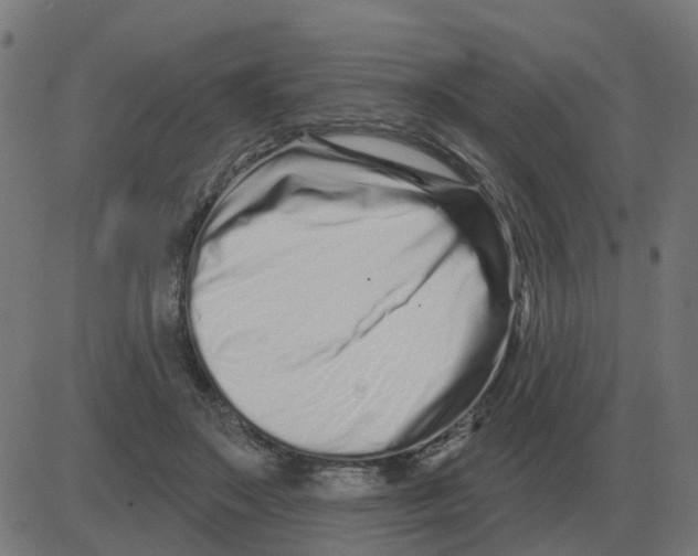 X0000081420499200702092137