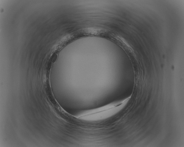 X0000081420500200702092137