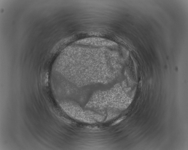 X0000081420502200702092137