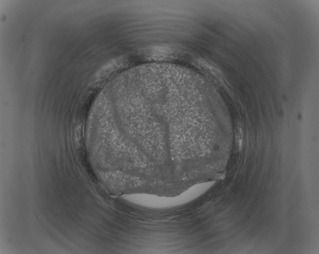 X0000081420503200702092137