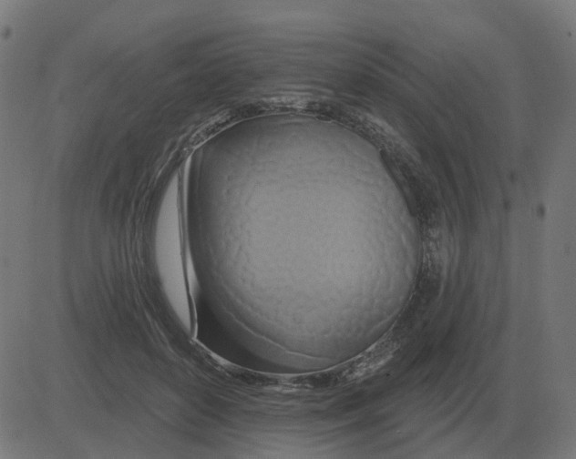 X0000081420504200702092137