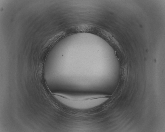 X0000081420505200702092137