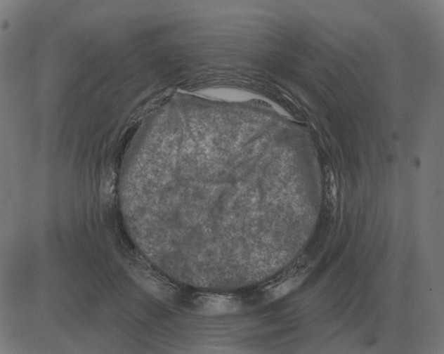 X0000081420507200702092137