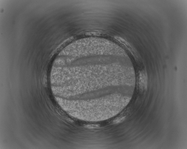 X0000081420508200702092137