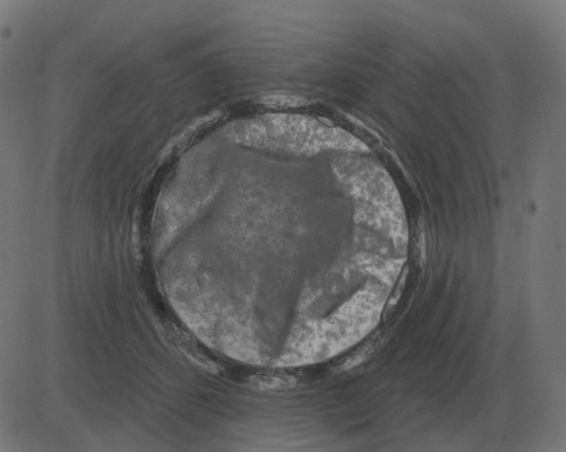 X0000081420512200702092137