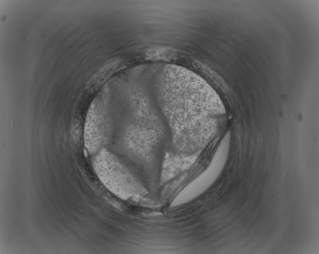 X0000081420513200702092137