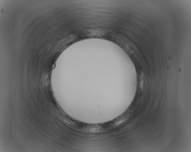 X0000081420514200702092137