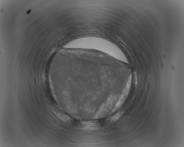 X0000081420516200702092137