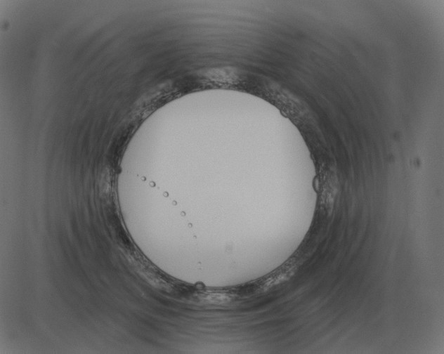 X0000081420518200702092137