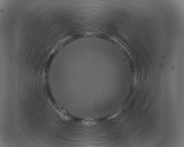 X0000081420520200702092137