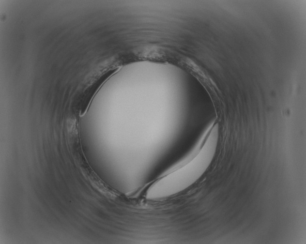 X0000081420521200702092137