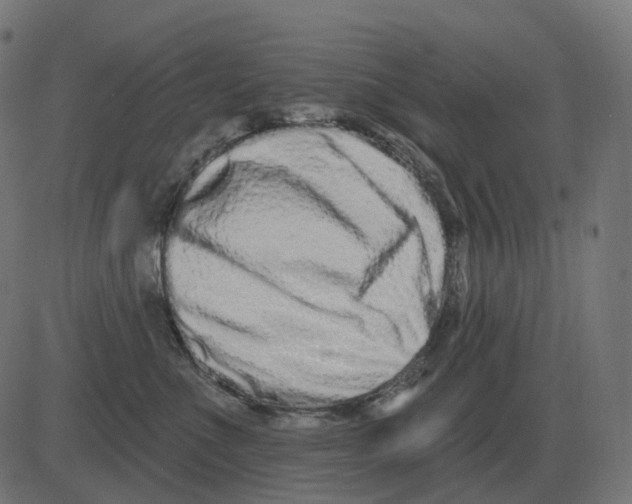 X0000081420523200702092137