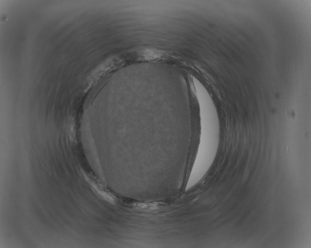 X0000081420524200702092137