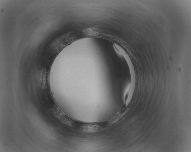 X0000081420525200702092137