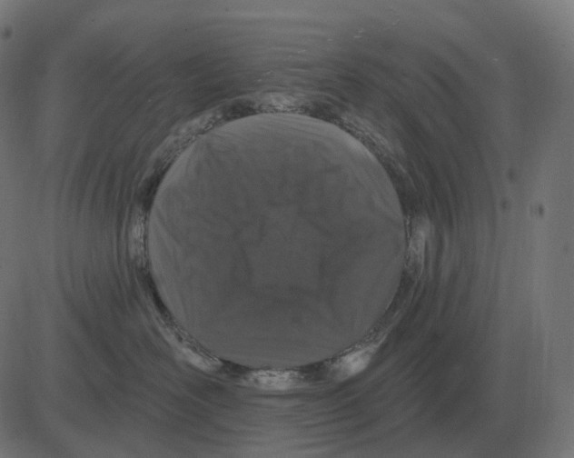 X0000081420526200702092137